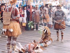 Pembentukan Papua Selatan sedang dibahas DPR