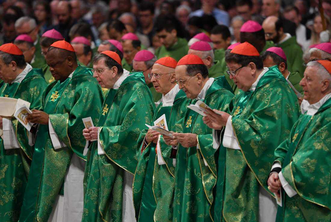 Proses sinode dari Paus Fransiskus ‘seperti tubuh yang hidup,’ kata seorang peserta