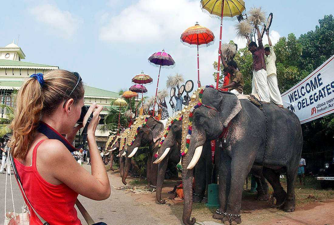 Pemimpin Gereja di India desak pemerintah selamatkan warga dari serangan gajah